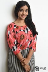 Nithya Shetty at Padesave Movie Platinum Disc Function